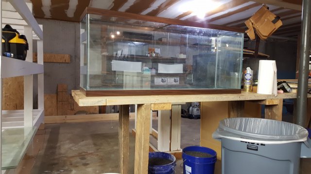 20170806_171033.jpg