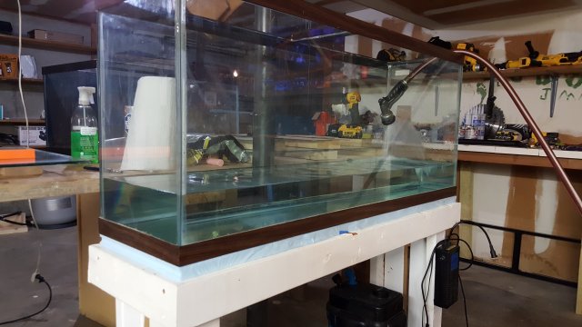 20170812_151518.jpg