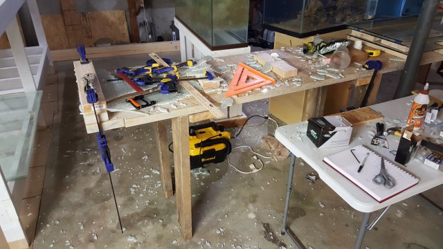 20170727_213921.jpg