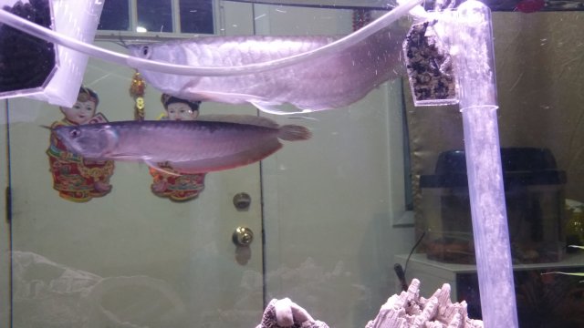 20170816_003957.jpg