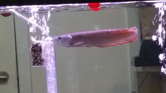 20170816_004602.jpg