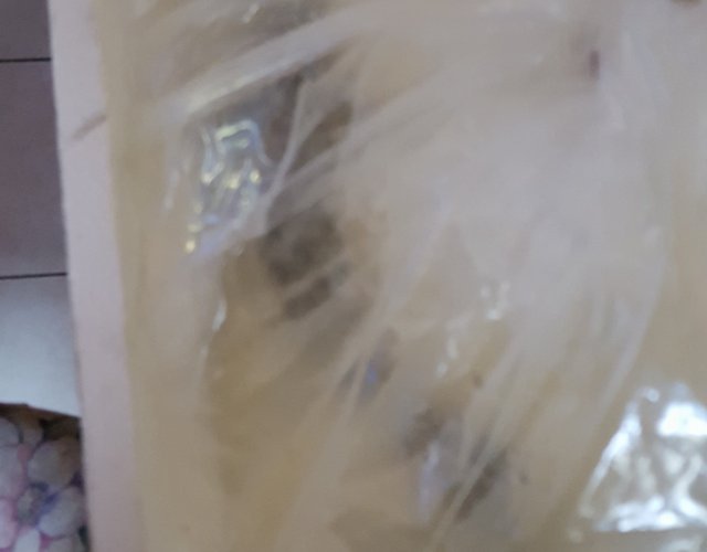 20170818_125236.jpg
