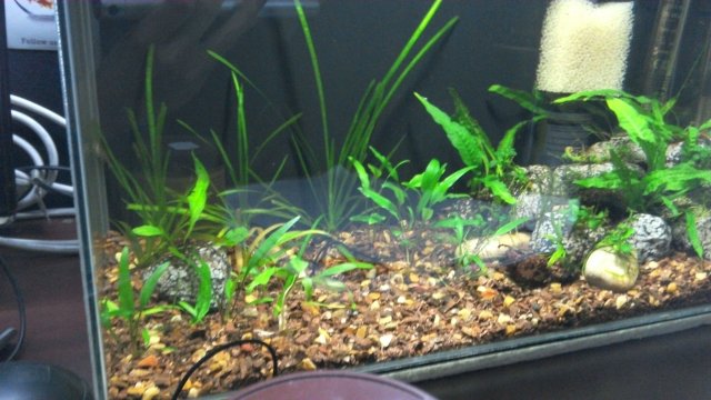 IMG-20170820-WA0052.jpeg