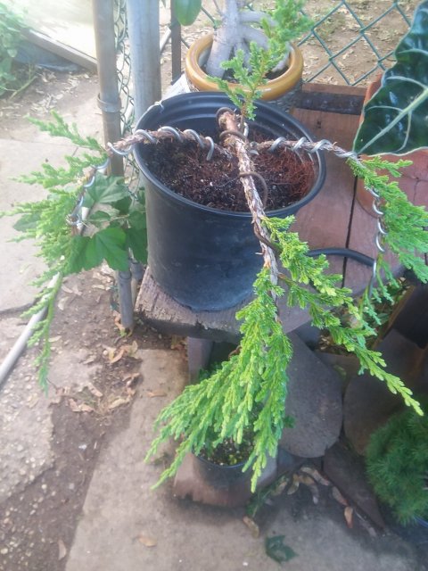20170823_112732.jpg