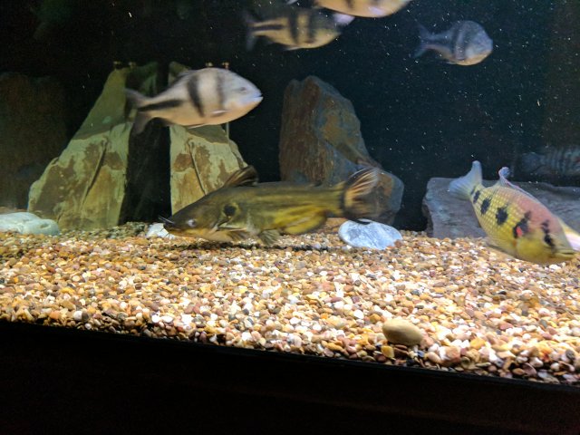 IMG_20170823_200606.jpg