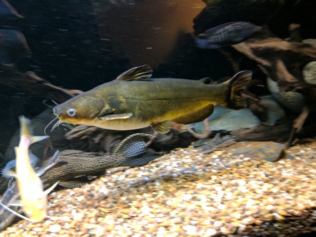 IMG_20170823_200650.jpg