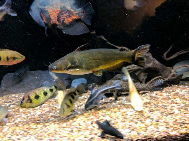IMG_20170823_200651.jpg