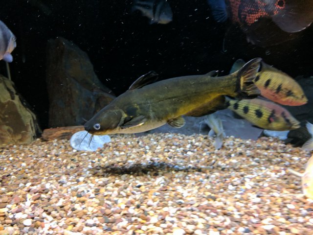 IMG_20170823_200654.jpg