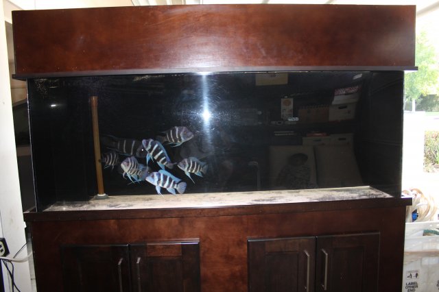 IMG_6961.JPG IMG_6961.JPG