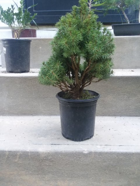 20170824_072521.jpg