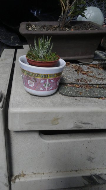 20170824_173204.jpg