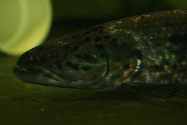 DSC04656.JPG