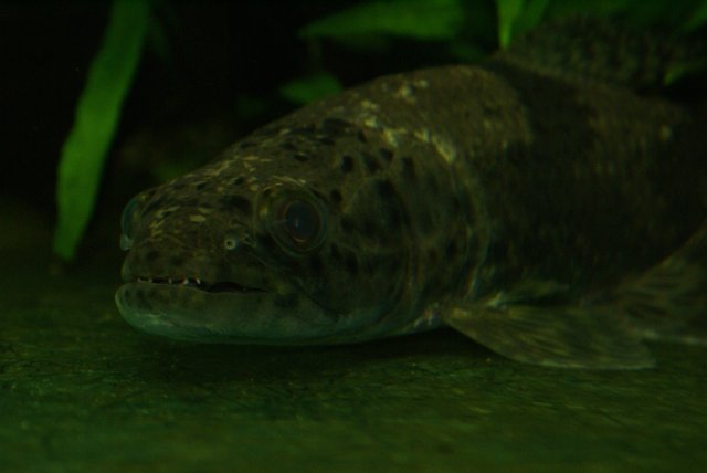 DSC04681.JPG