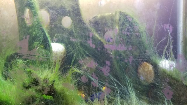 20170823_201310.jpg