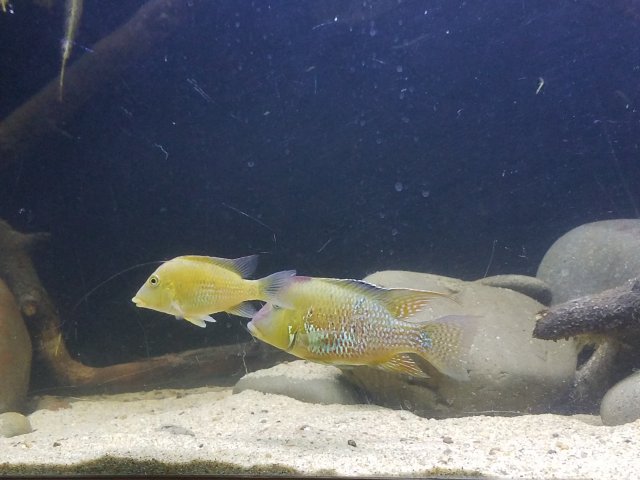 20170826_223436.jpg