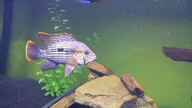 20170827_212007_170522.jpg 20170827_212007_170522.jpg