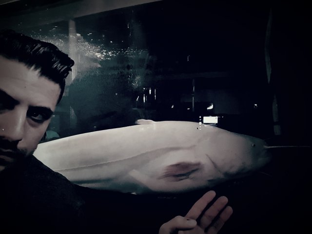 2017-02-09 12.17.39.jpg