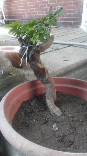 20170830_125142.jpg