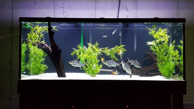 20170827_151809.jpg