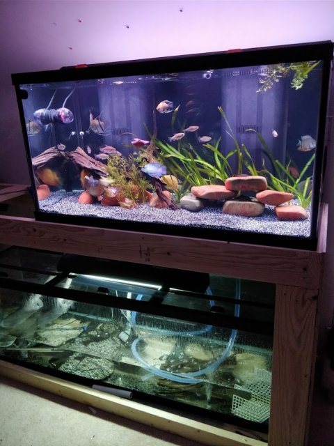 rhpLOa3.jpg rhpLOa3.jpg