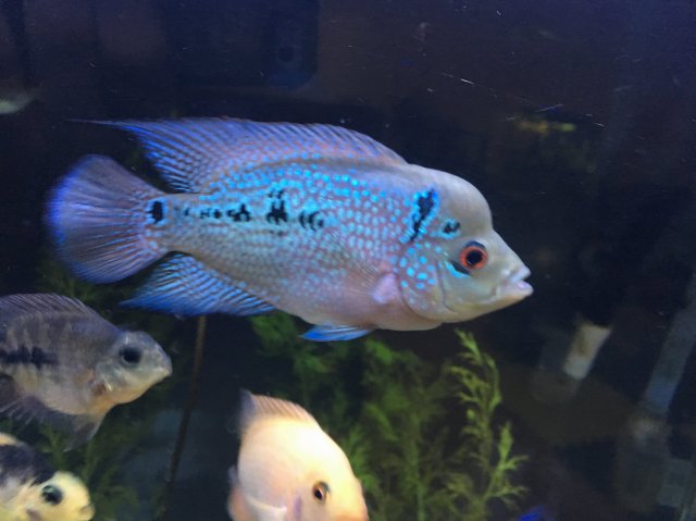 IMG_6914.JPG IMG_6914.JPG