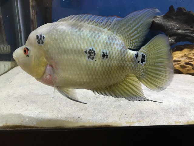 IMG_2358.JPG IMG_2358.JPG