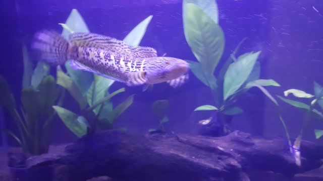 20170830_173116.jpg