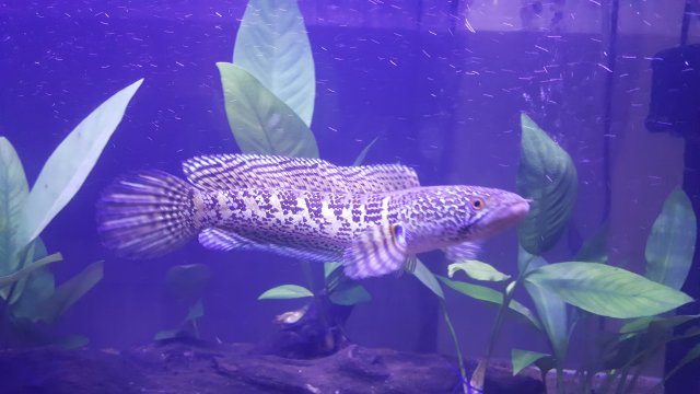 20170830_173036.jpg