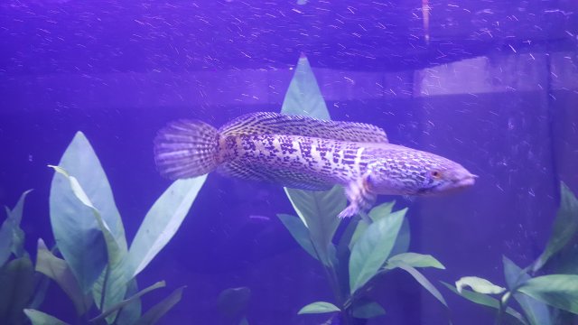 20170830_172945.jpg