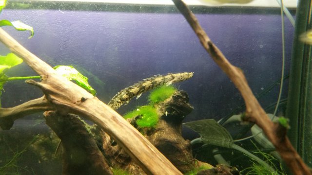20170904_133846.jpg