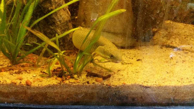 20170904_134203.jpg