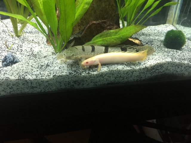 IMG_3866.JPG IMG_3866.JPG