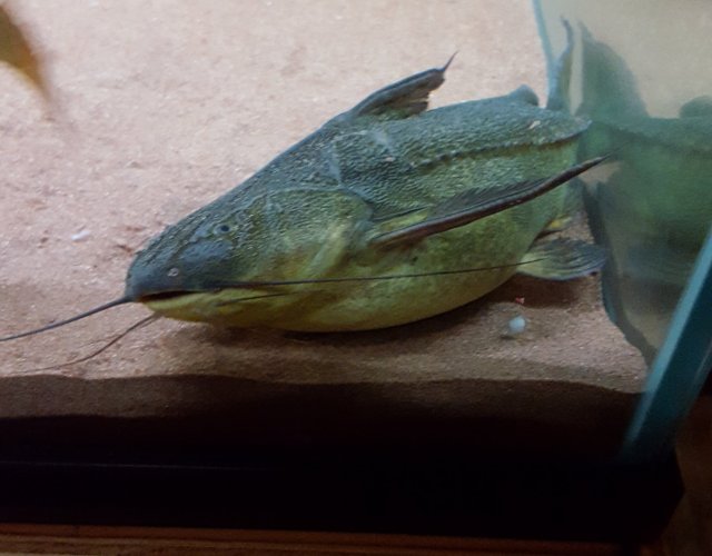 20170906_222942.jpg