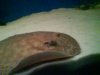 DSC00016.JPG