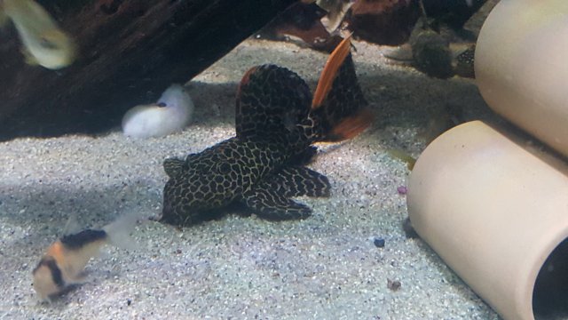 20170908_111913.jpg