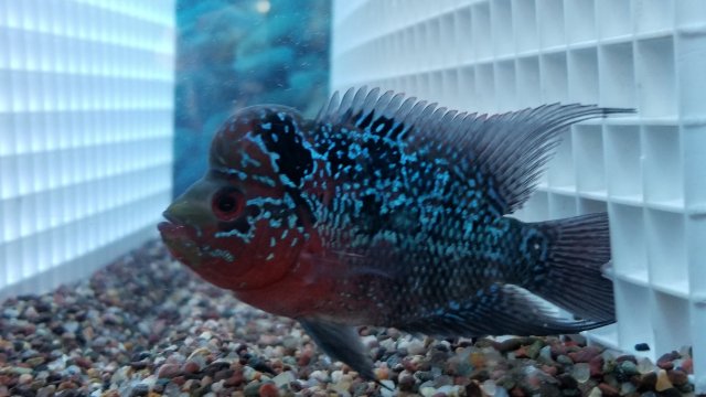 20170817_203843.jpg
