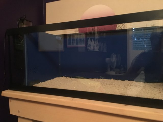 IMG_3309.JPG IMG_3309.JPG