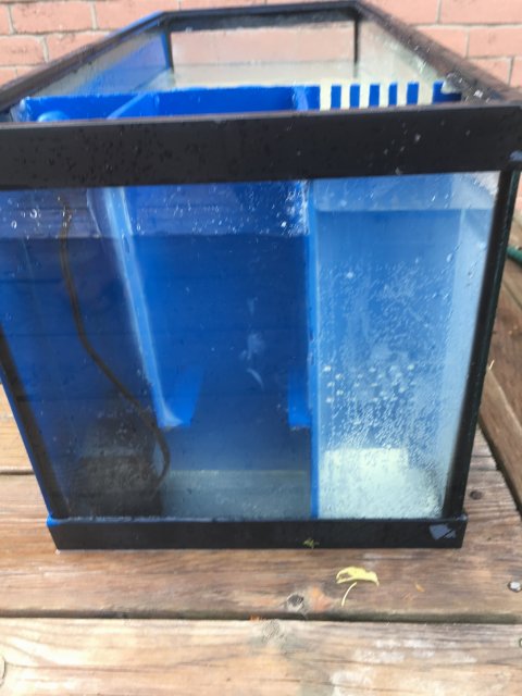 IMG_3273.JPG IMG_3273.JPG