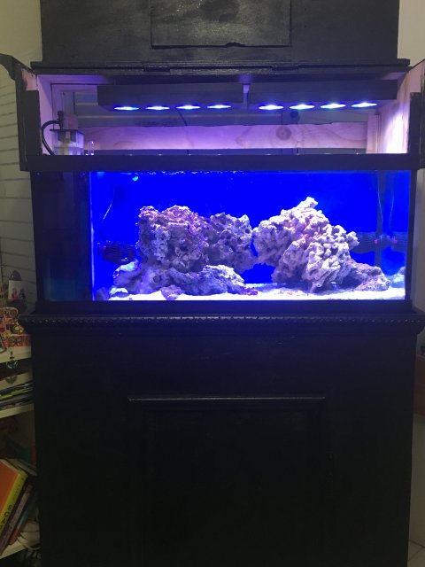 IMG_3492.JPG IMG_3492.JPG