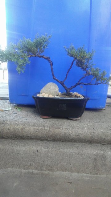 20170911_120756.jpg