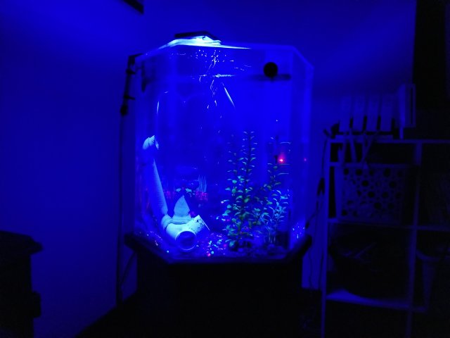 20170911_223649.jpg