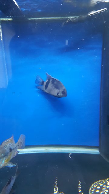 20170906_114257_resized.jpg