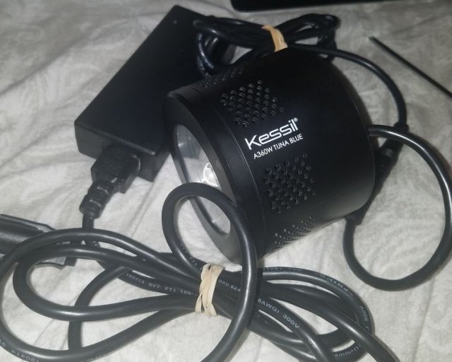 k3601.JPG