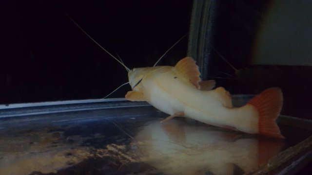 20170914_105906.jpg