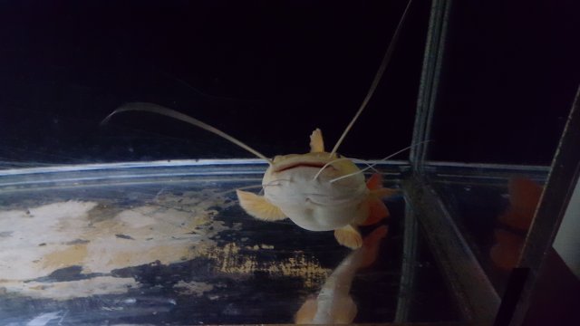 20170914_105827.jpg