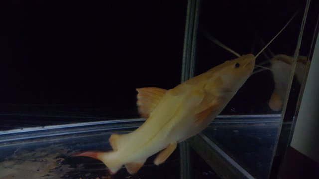 20170914_105658.jpg