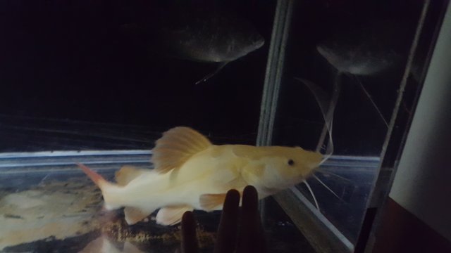 20170914_105052.jpg