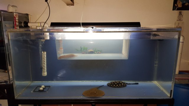 20170906_030859.jpg 20170906_030859.jpg