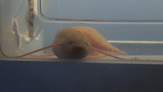 20170728_000159.jpg 20170728_000159.jpg