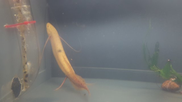 20170728_001043.jpg 20170728_001043.jpg